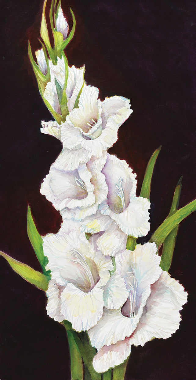 stem-of-gladiolus-joanne-porter
