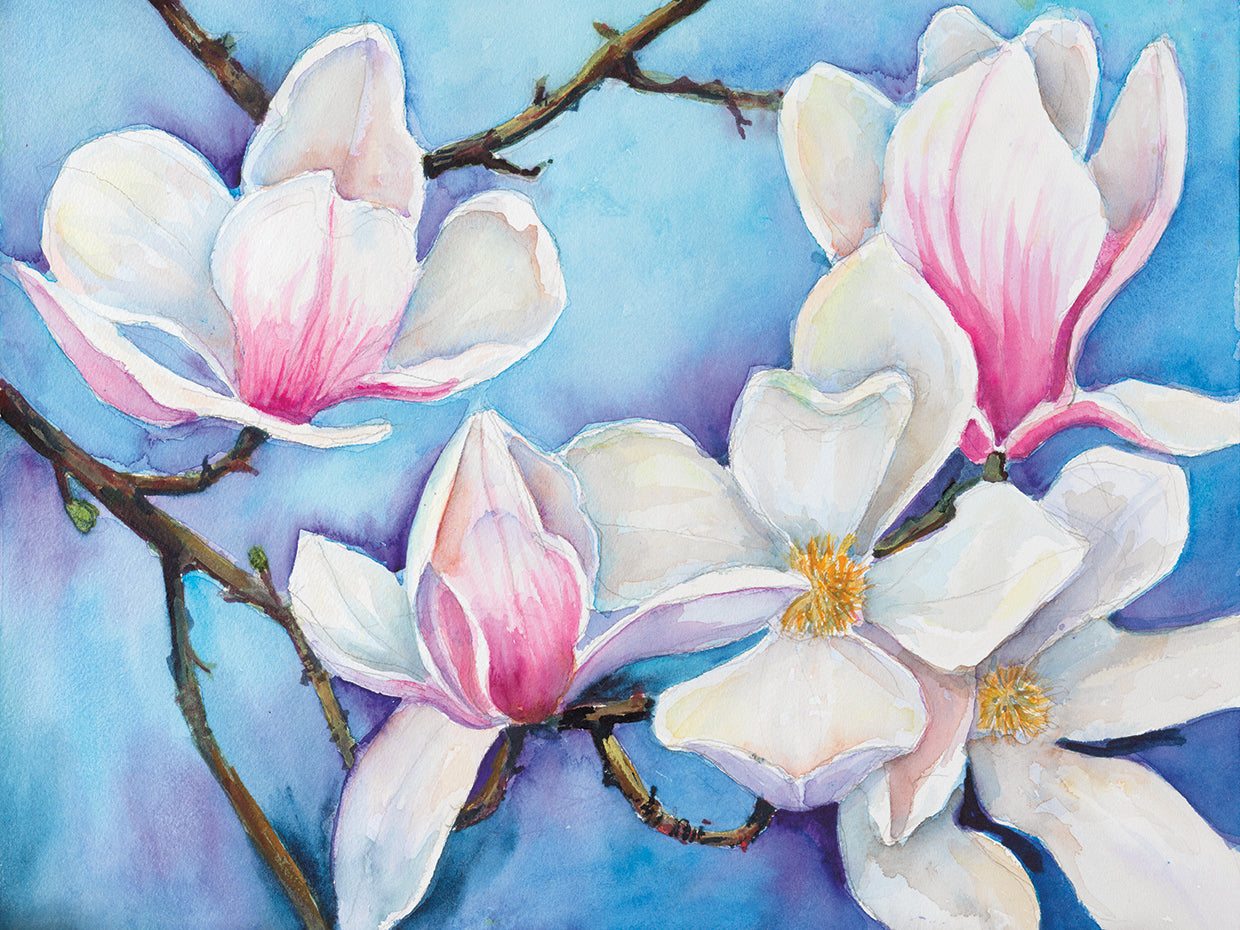 Spring Offerings