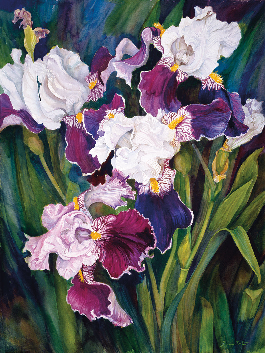 Wind Blown Iris
