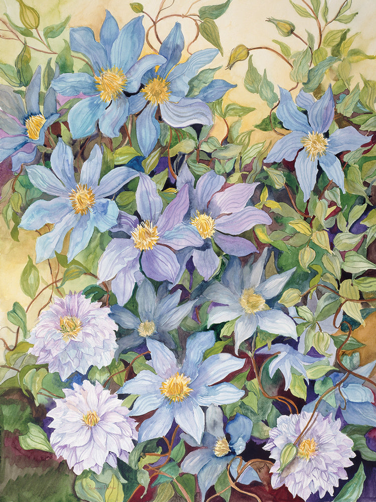 Blue Clematis