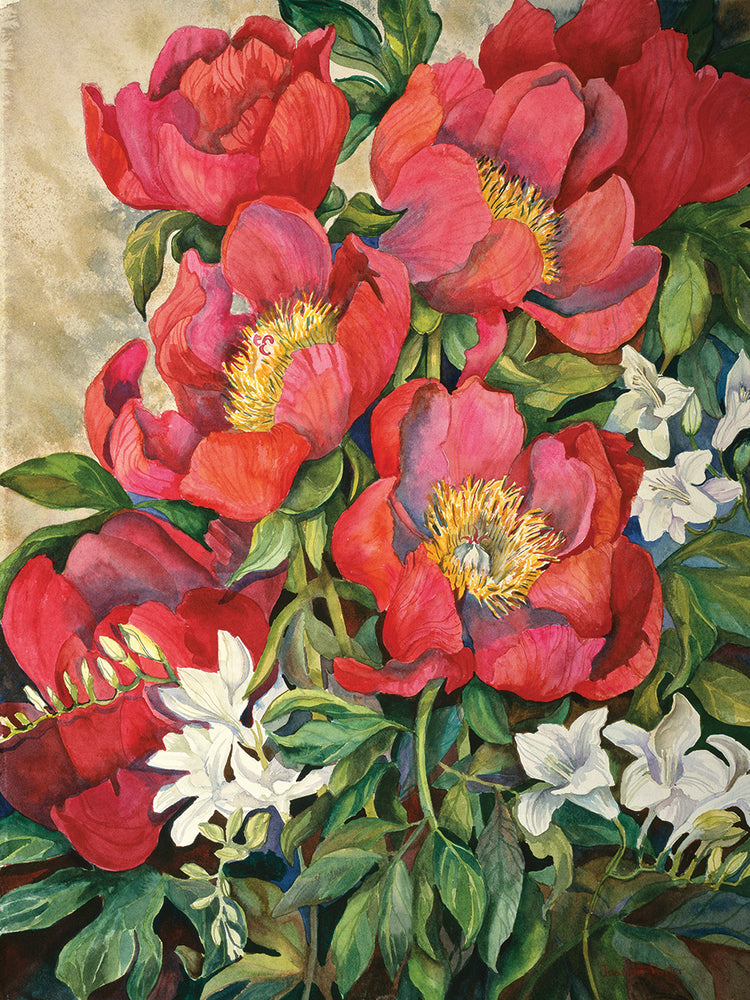 Red Peonies