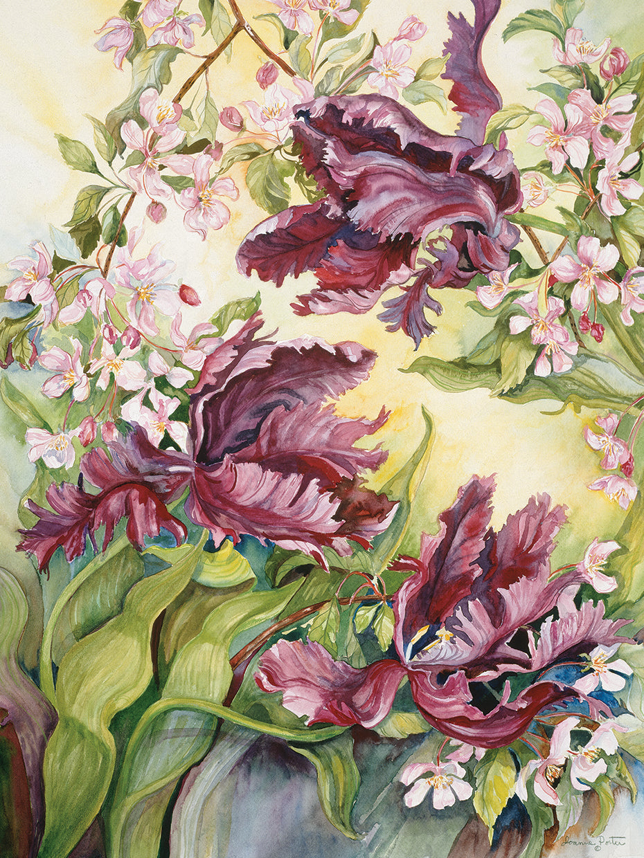 Parrot Tulips With Cherry Blossoms