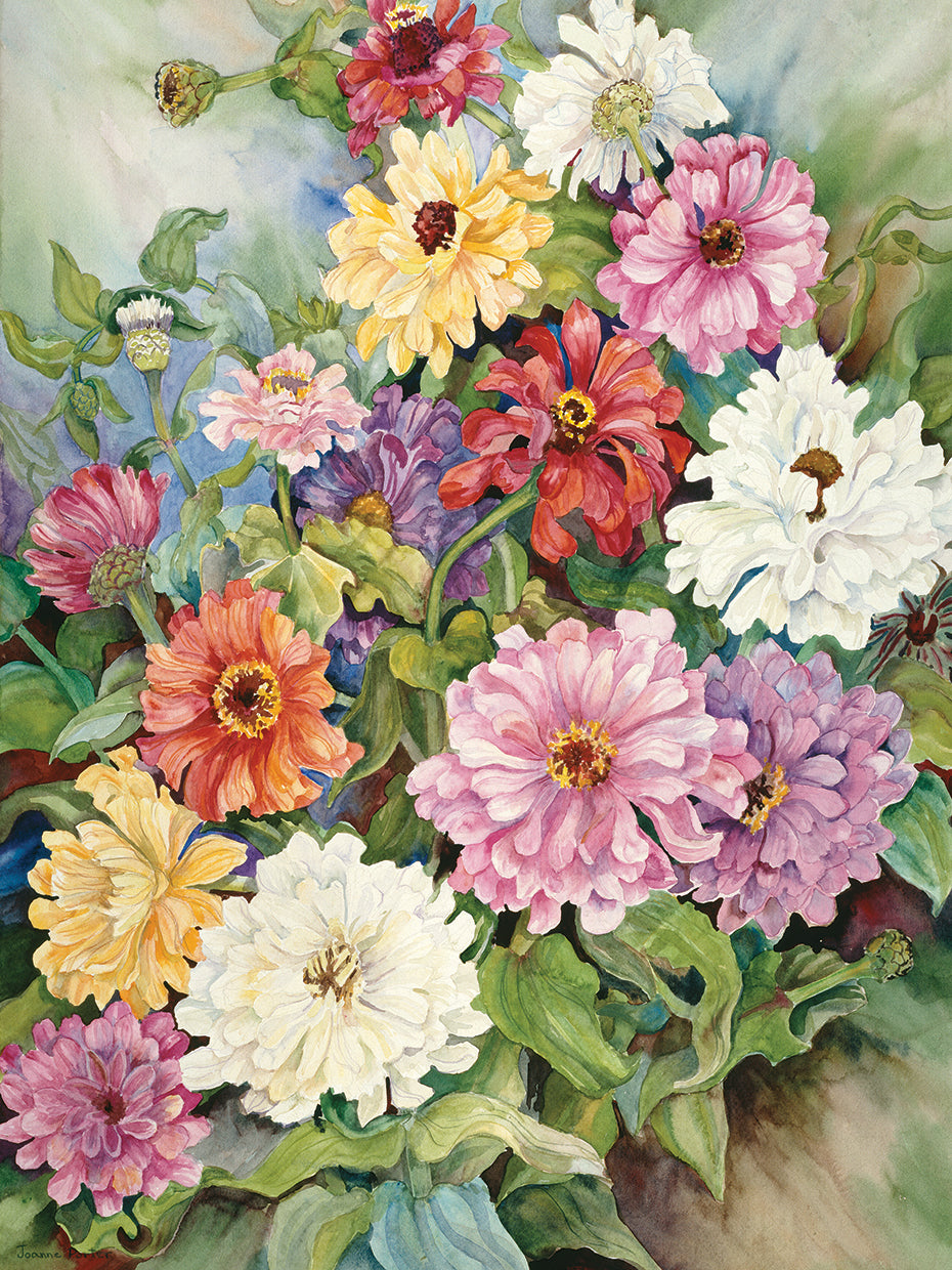 Zinnias From A Fall Garden