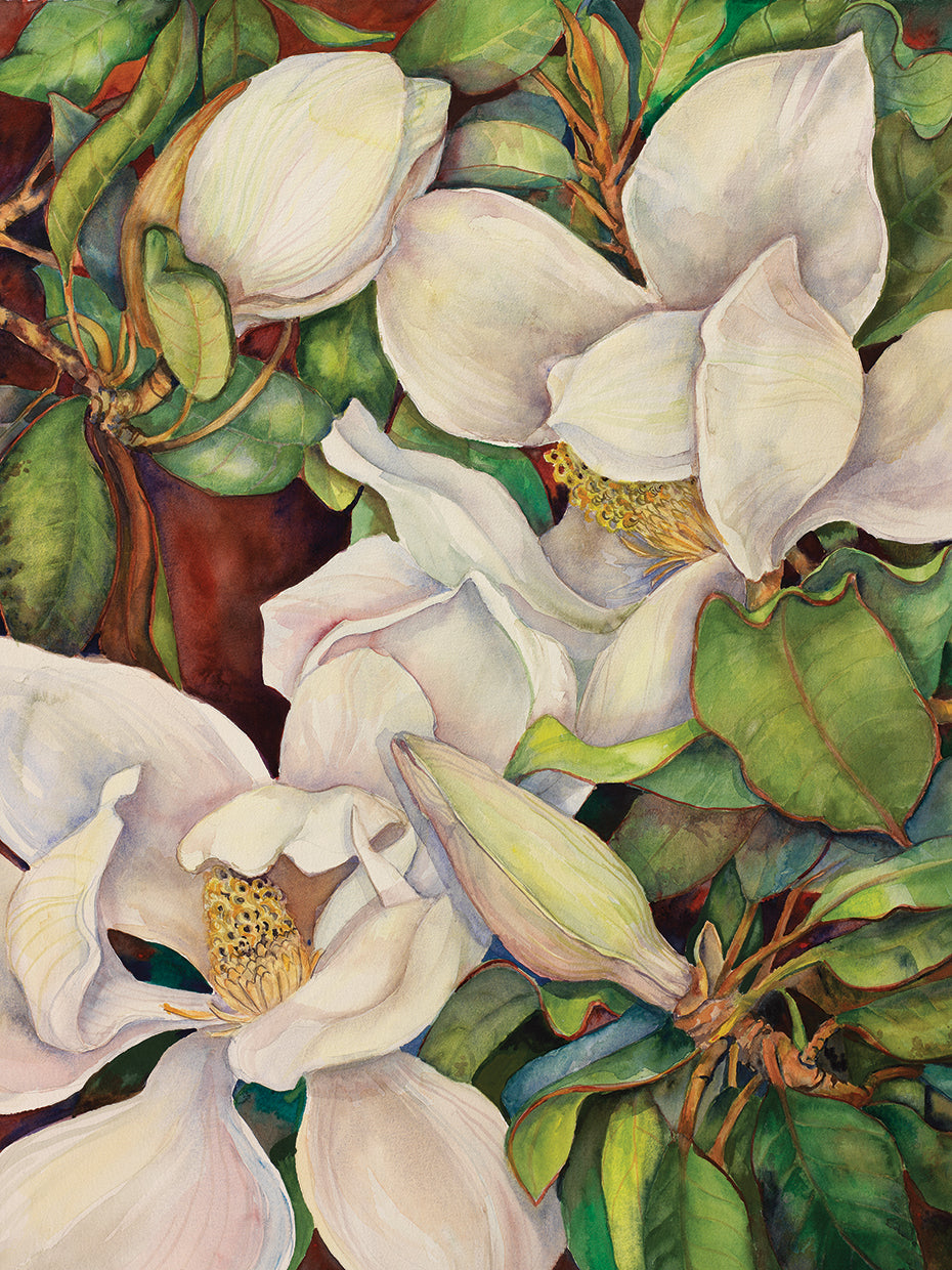 Georgia Magnolias
