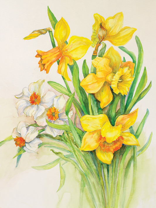 Daffodils- Springs Calling Card