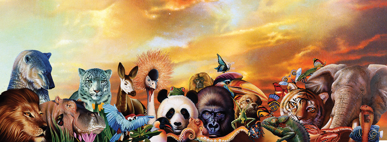 Animal Collage 5