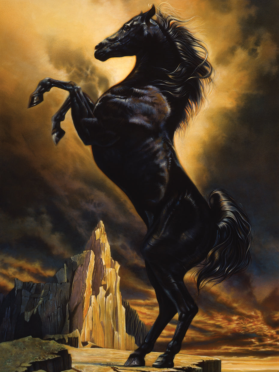 Black Stallion Wall Art by John Rowe | Fine Art Canvas
