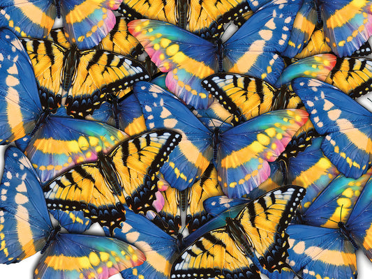 Butterfly Collage Canvas Art