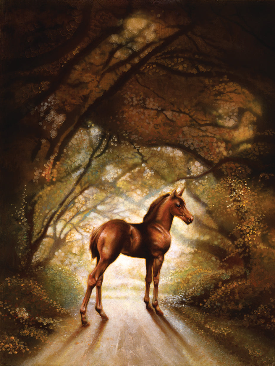 Colt On Road