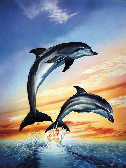Dolphins Canvas Art
