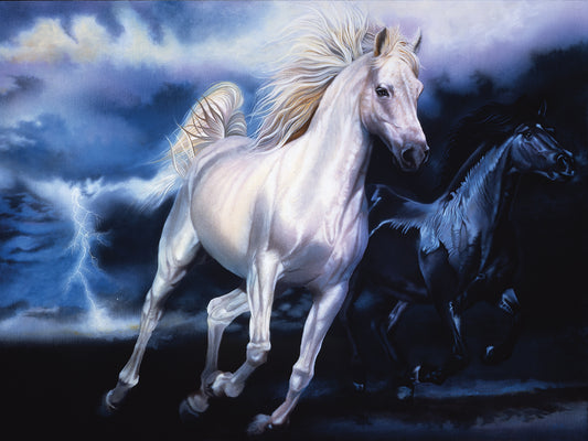 Lighting Horse Canvas Art