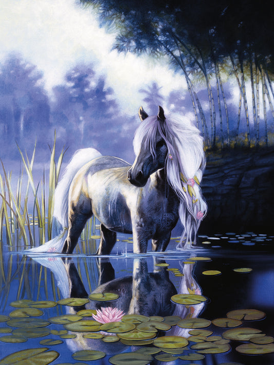 Lily Pony Canvas Art