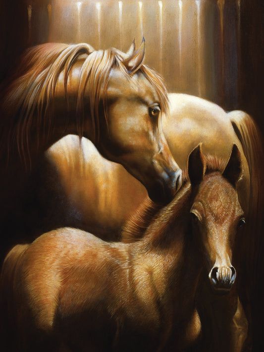 Mare And Foal Canvas Art