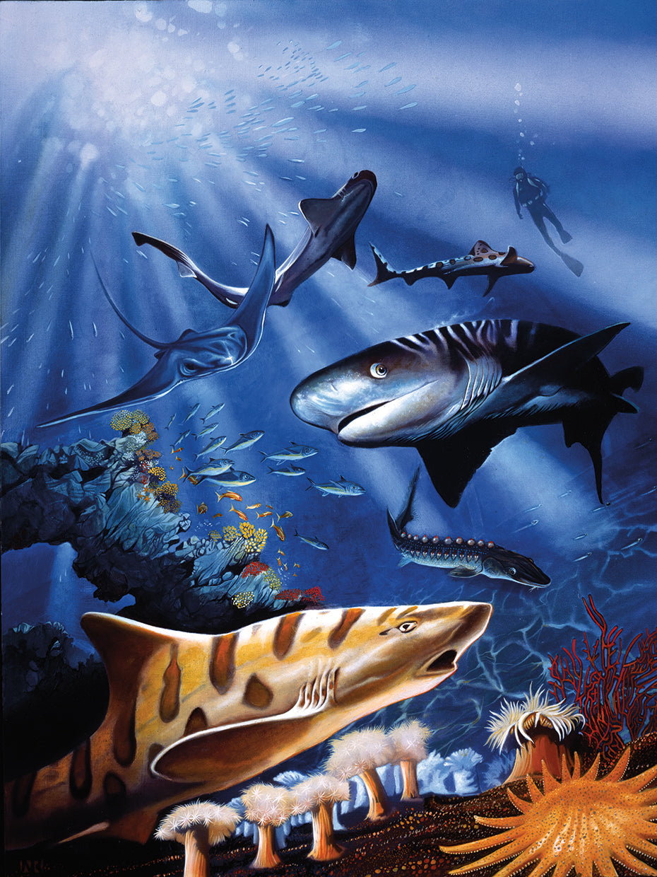 Sharks