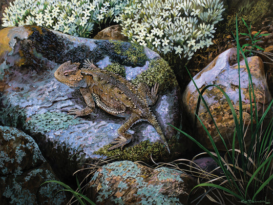On the Rocks, Great Horned Lizard.tif Canvas Art
