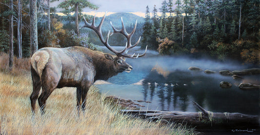 Elk River Canvas Art