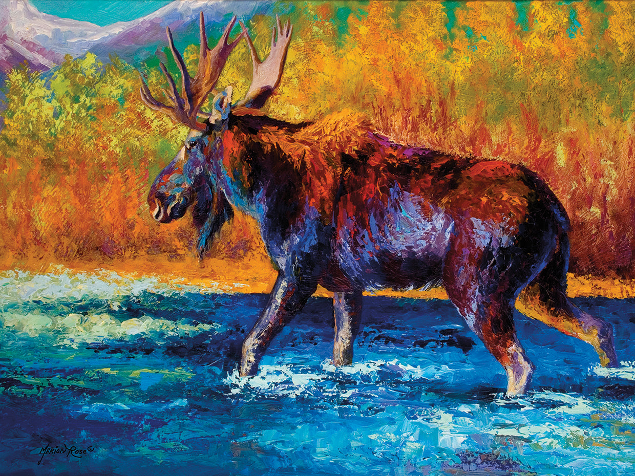 Autumns Glimpse Moose