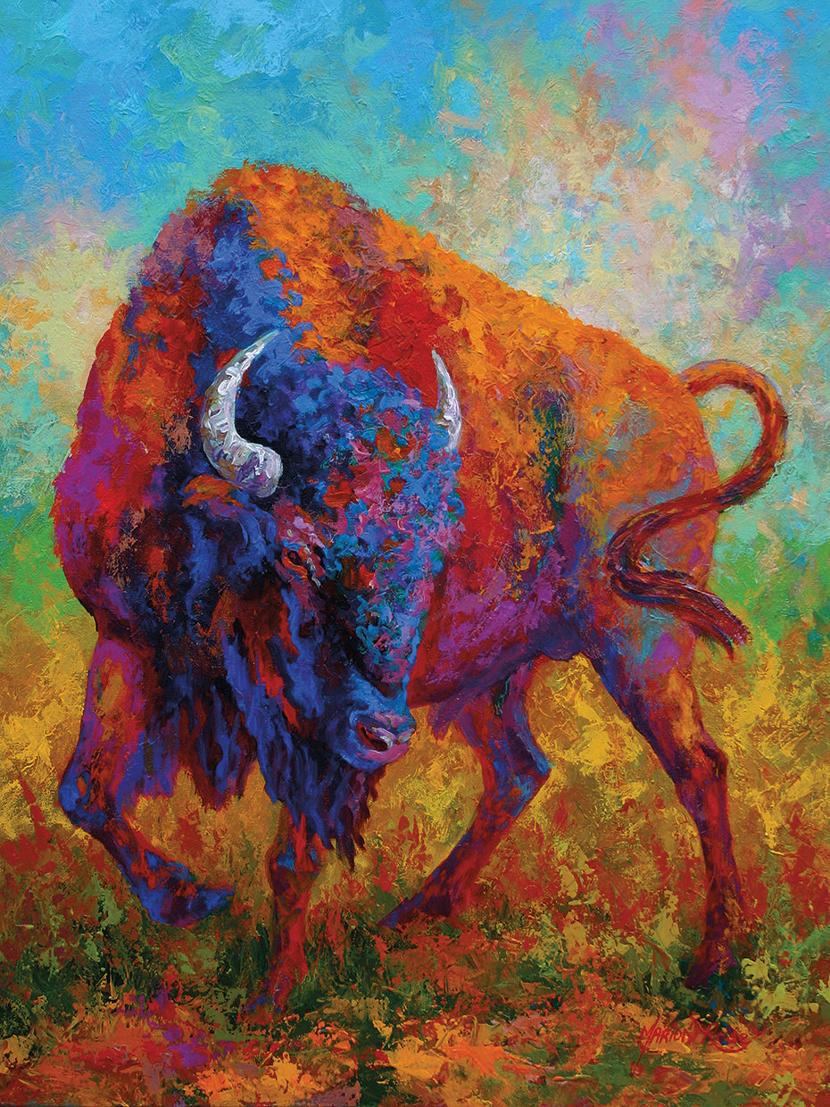 Bison Bull 1