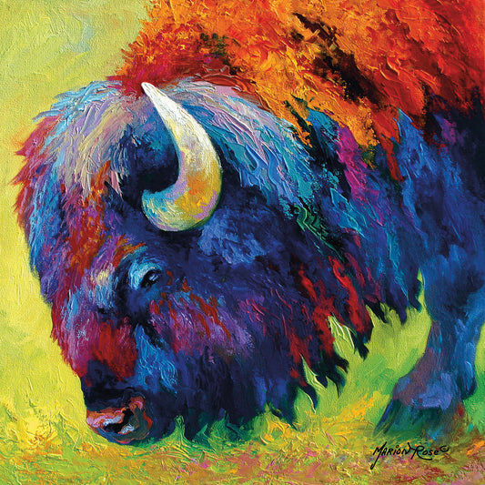 Bison Portrait II Canvas Print