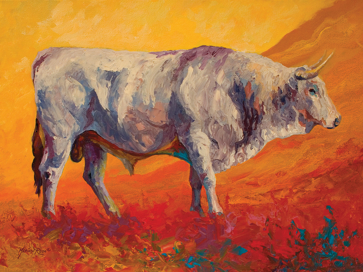 Bull Market