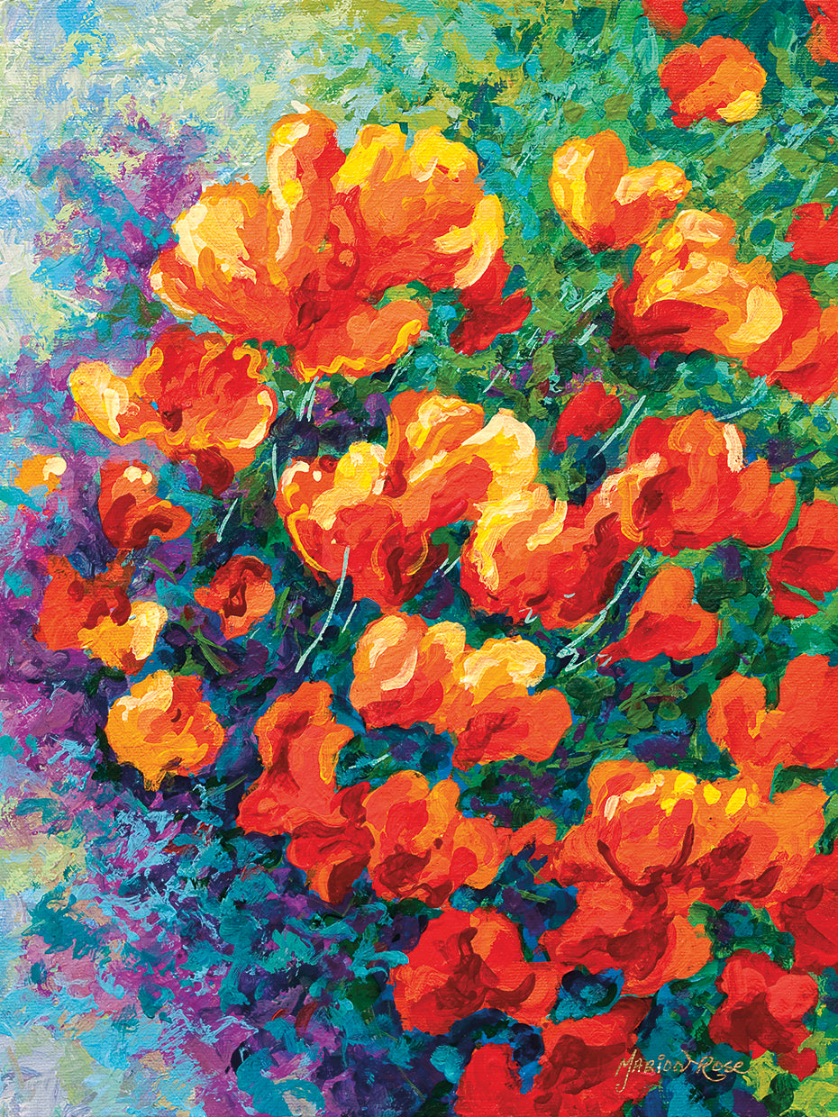California Poppies