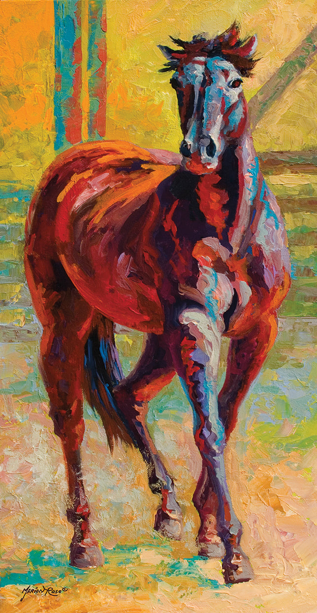 corral-boss-marion-rose