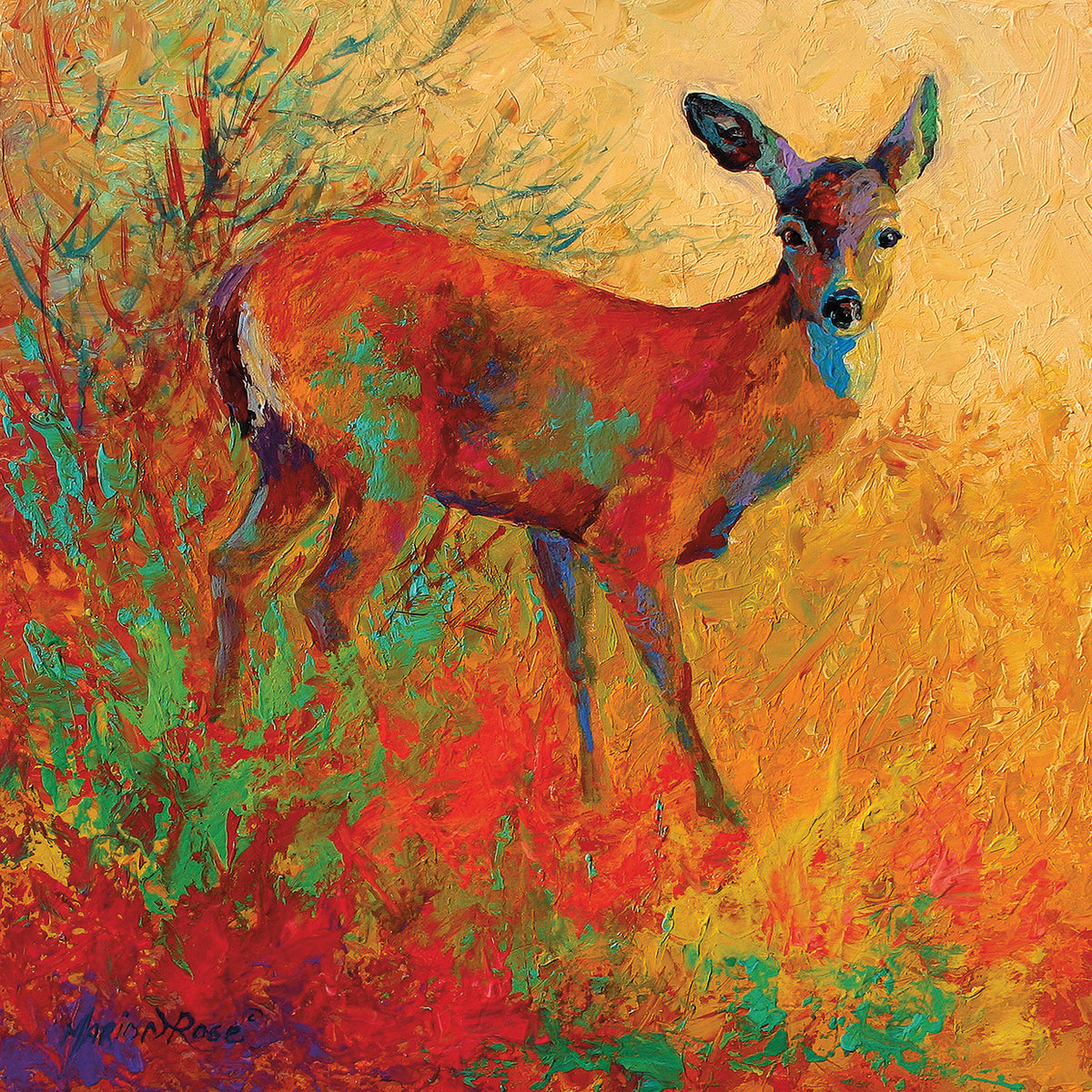 Doe