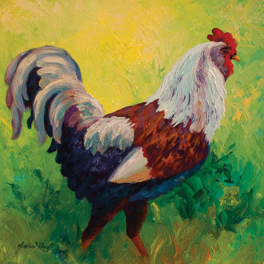 Full Of Himself Rooster Canvas Print