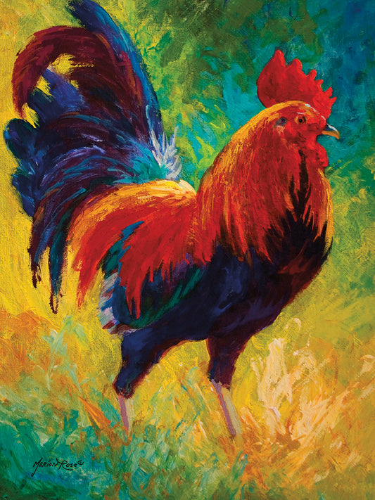 Hot Shot Rooster Canvas Print
