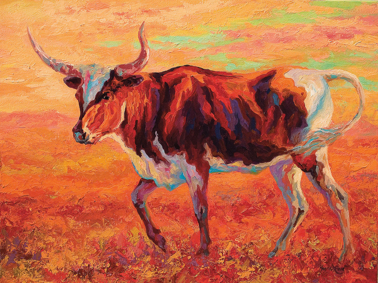 Longhorn Heifer