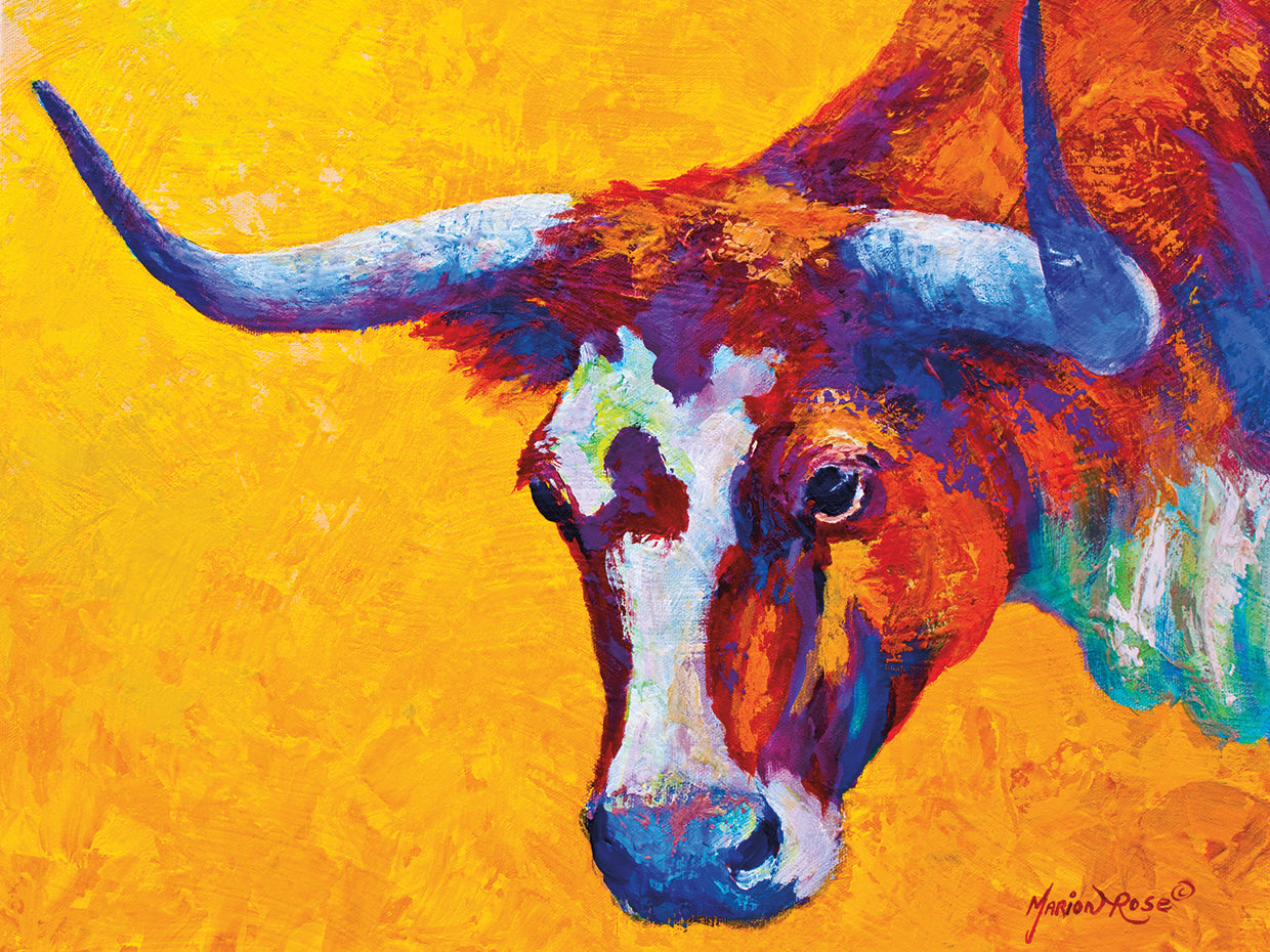 Longhorn Portrait