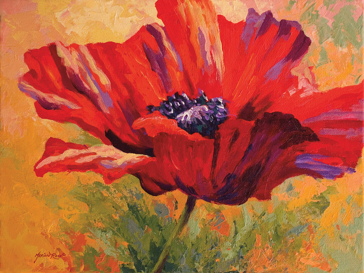 Red Poppy II