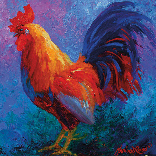 Rooster Bob 1