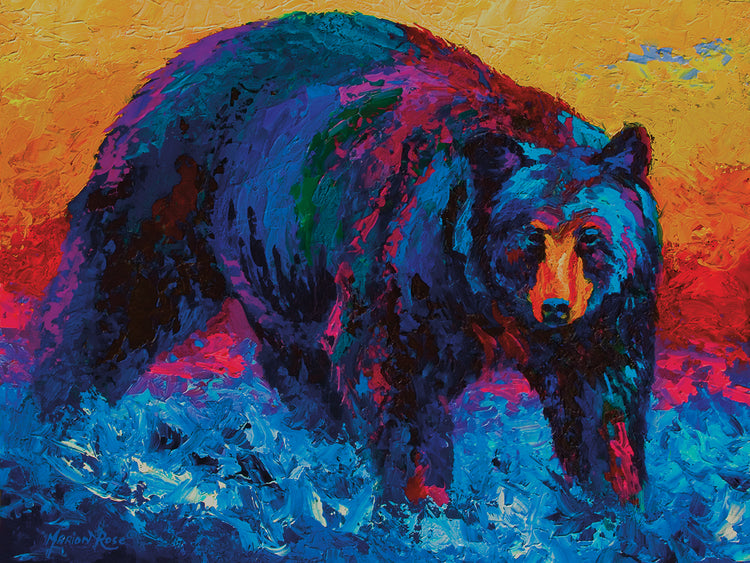 Scouting Fish Black Bear