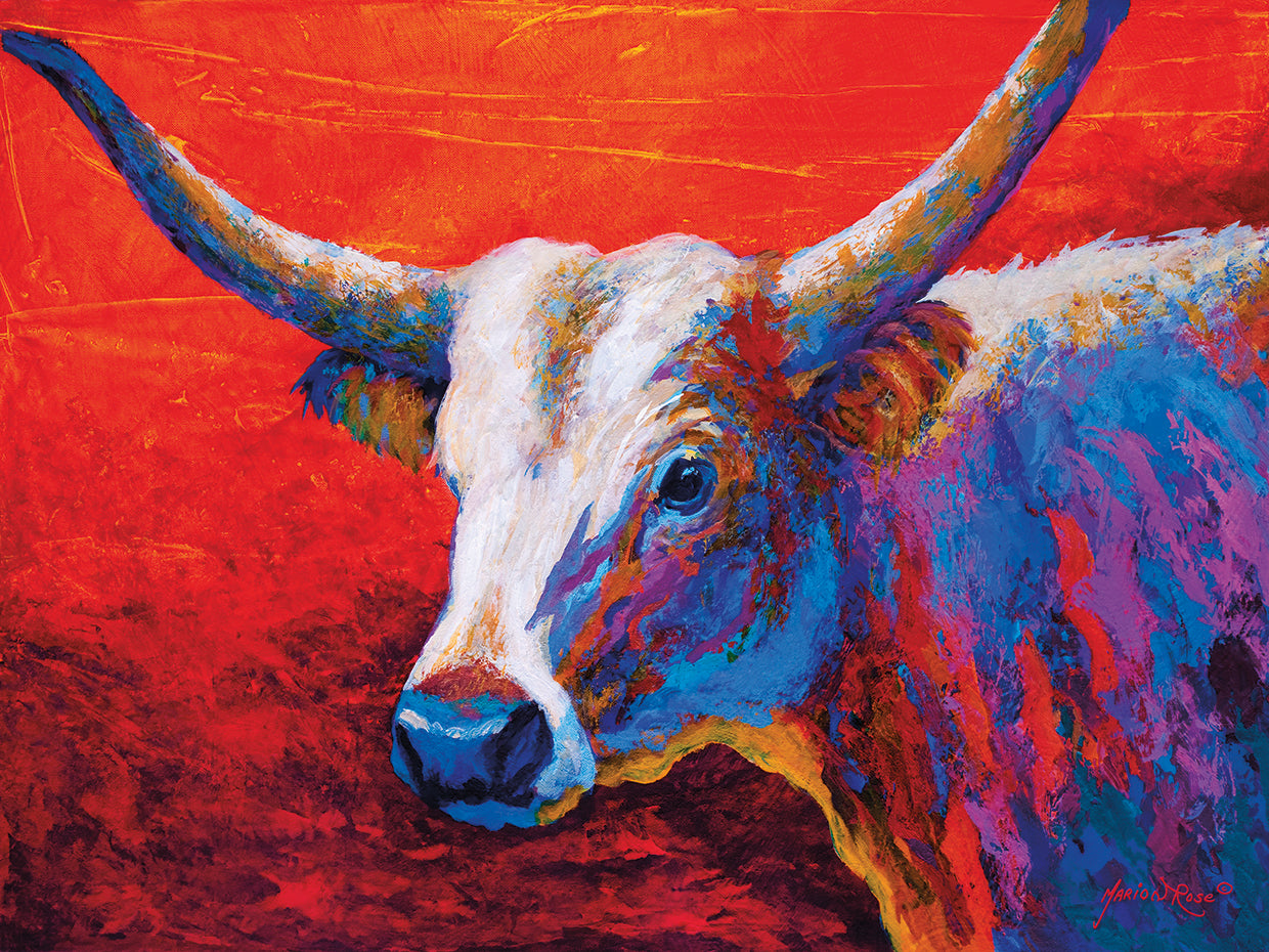 Sunset Ablaze Longhorn