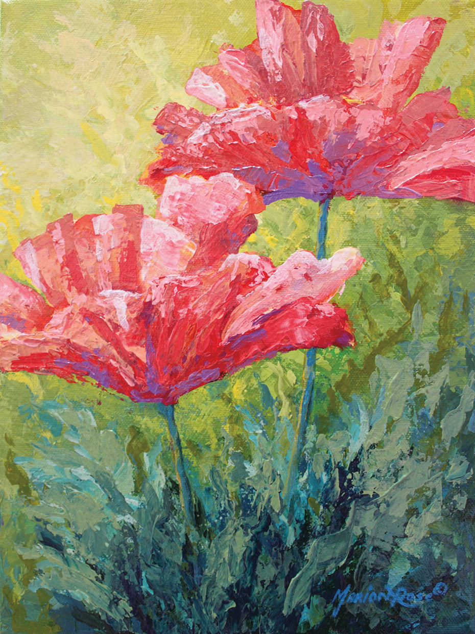 Two Red Poppies