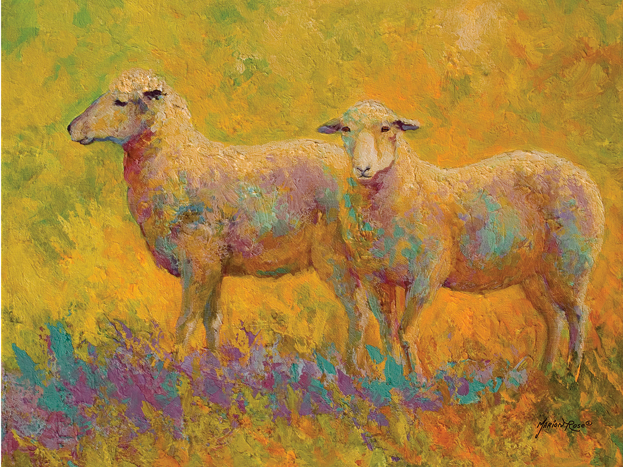 Warm Glow Sheep Pair