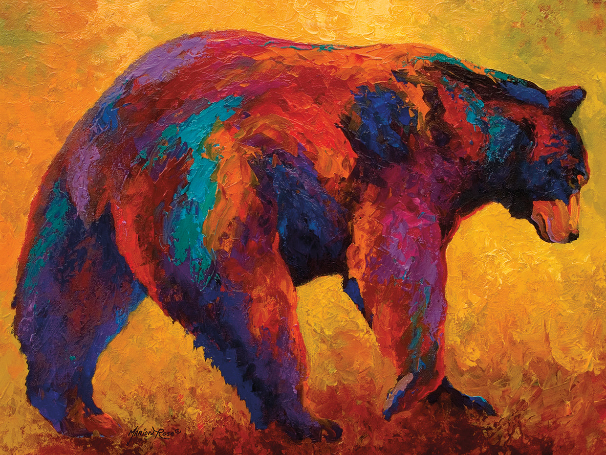 Daily Rounds Black Bear