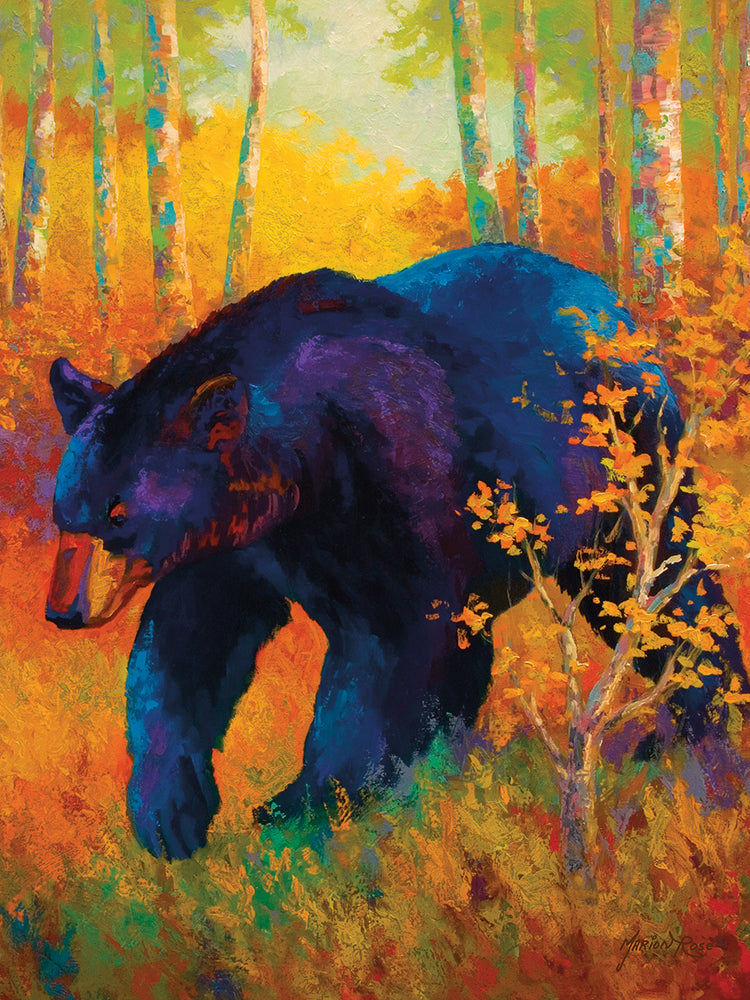 In To Spring Black Bear