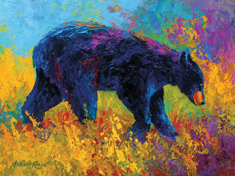 Young Restless II Black Bear Big