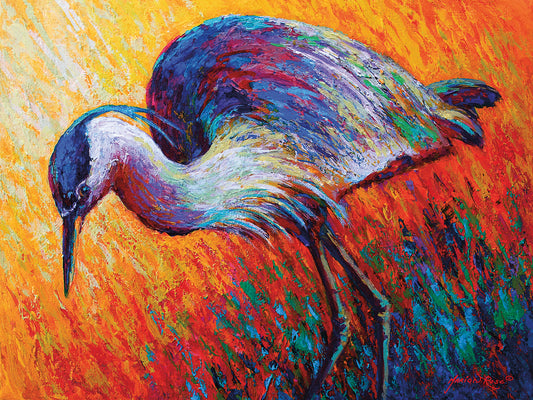 Bird Of Dreams Canvas Print