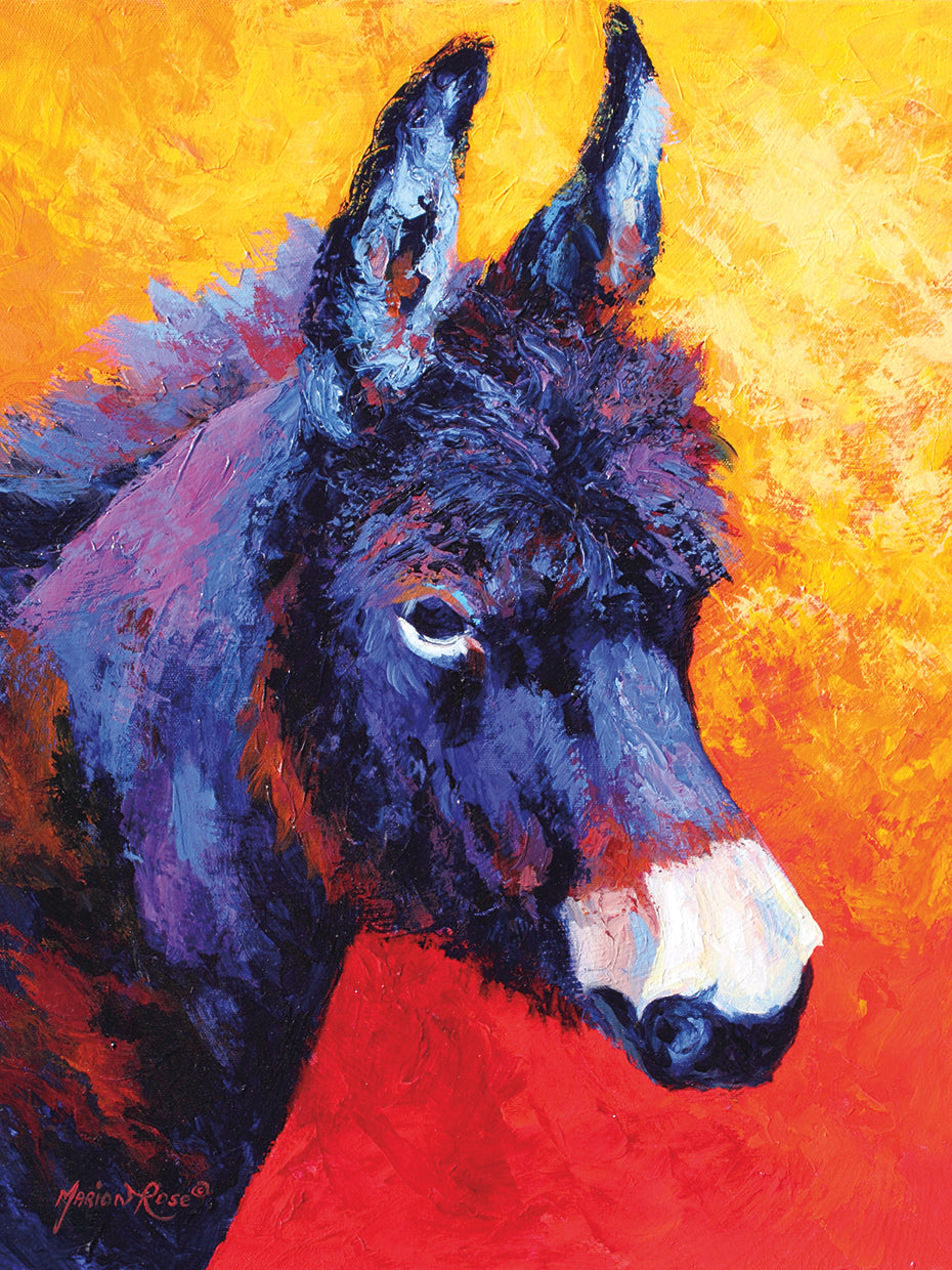 Donkey IVX