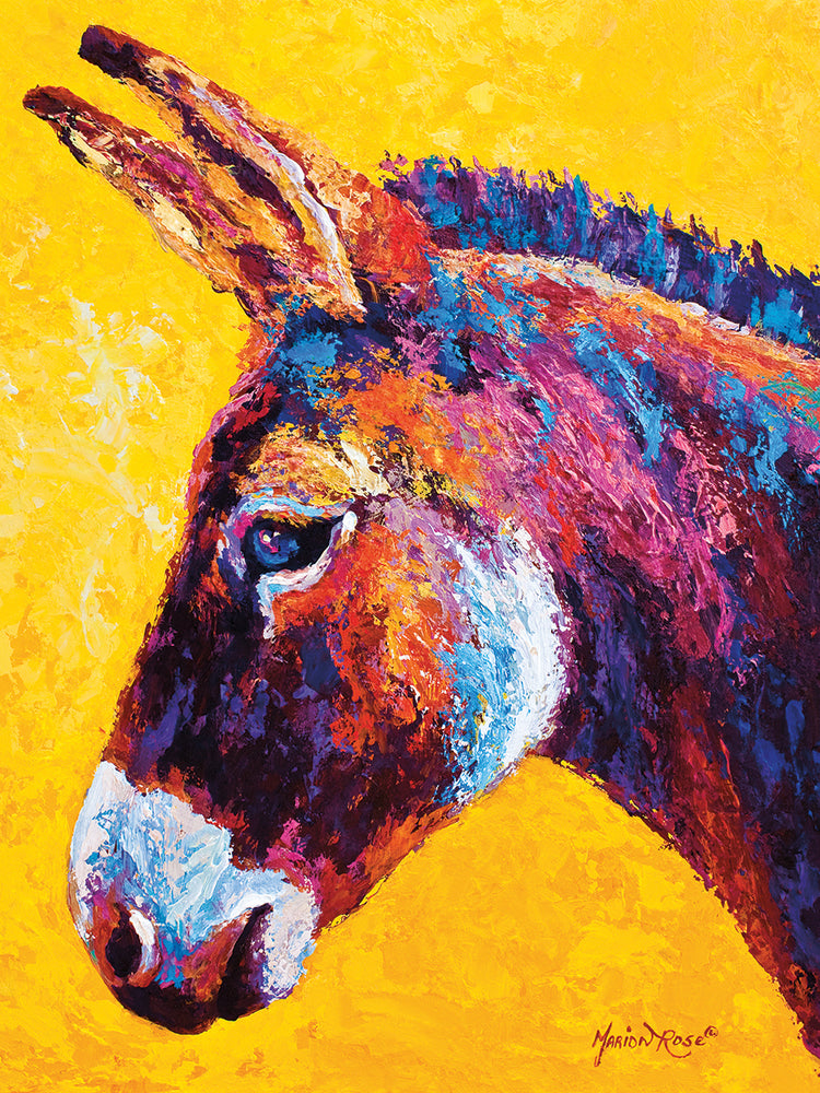 Donkey Portrait III