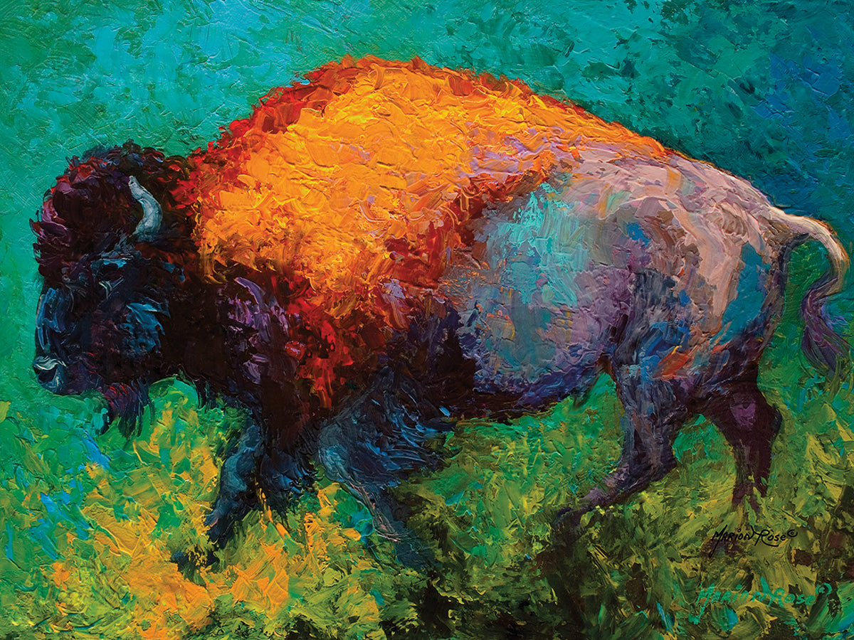 On The Run Bison