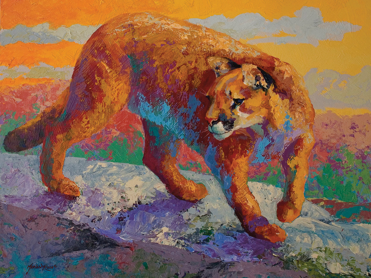 Ridge Cougar