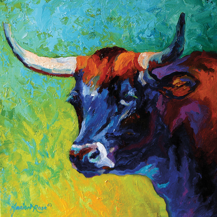 Longhorn Portrait IV