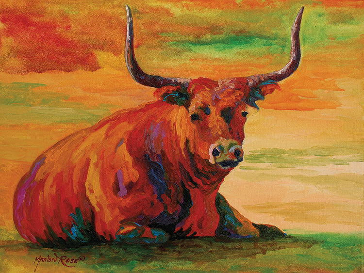 Longhorn Steer 2