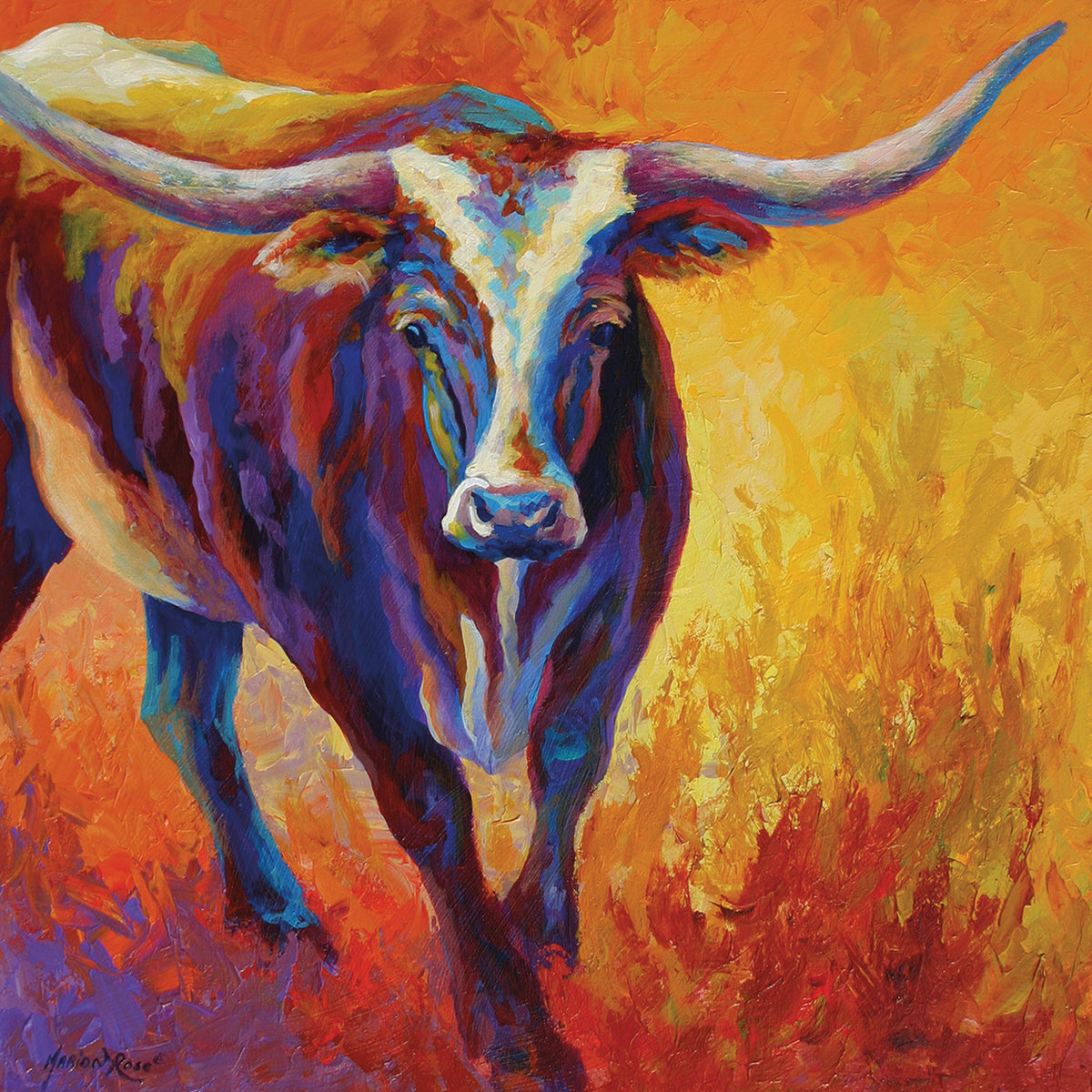 Stepping Out Longhorn