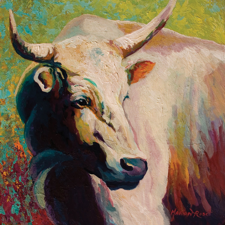 White Bull Portrait