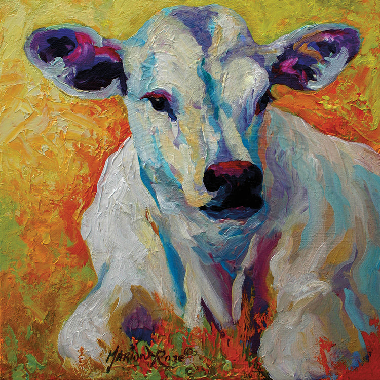 White Calf